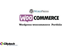 Portfolio for Wordpress and WooCommerce Customization