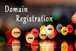 Portfolio for Domain Registration