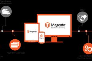 Portfolio for Magento Development