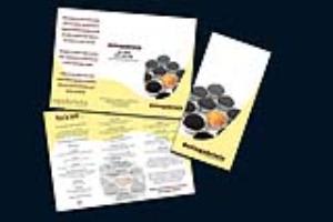 Portfolio for Brochures