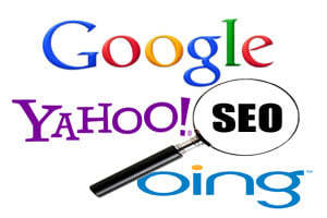 Portfolio for Search Engine Optimization