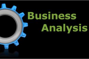 Portfolio for Business Analysis