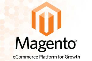 Portfolio for Magento and Magneto 2 Expert