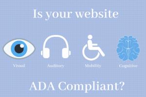 Portfolio for We will do your Website ADA Compliance