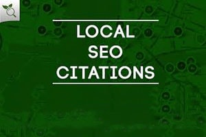 Portfolio for Google maps citations for local business
