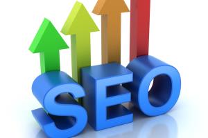 Portfolio for Search Engine Optimization