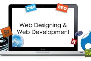 Portfolio for Web Development