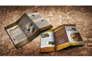 Portfolio for Brochures