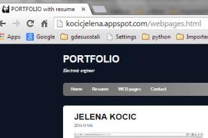 Portfolio for web programmer