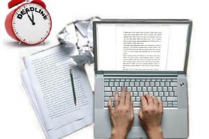 Portfolio for Content & Proposal Writing