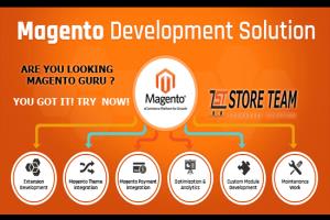 Portfolio for Web development with magento ecommerce.