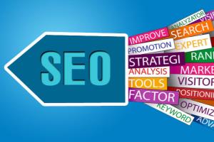 Portfolio for SEO - SEARCH ENGINE OPTIMIZATION