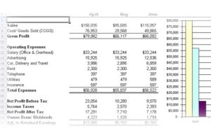 Portfolio for Bookkeeping & Payroll