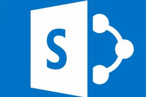 Portfolio for Microsoft Sharepoint