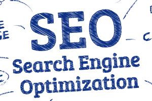 Portfolio for SEO - Search Engine Optimization