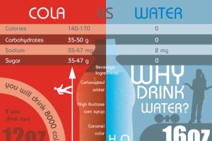 Portfolio for High quality Charts and Infographics