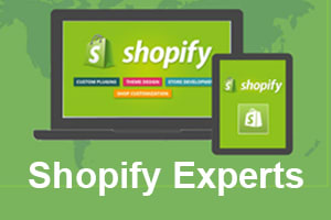 Portfolio for Hire expert Shopify Developer