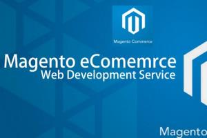 Portfolio for Magento Development Services