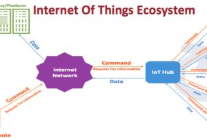 Portfolio for The Internet of Things