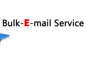 Portfolio for Mass Email Marketing , Bulk Email