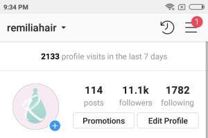 Portfolio for Instagram followers growth management