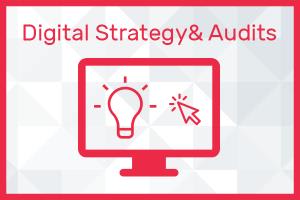 Portfolio for Digital Strategy & Audits