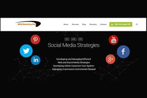 Portfolio for Social Media Marketing Services