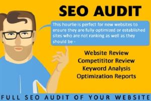 Portfolio for WEBSITE SEO AUDIT REPORT