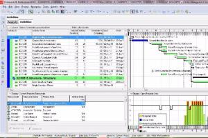 Portfolio for Primavera P6 Scheduler, Project Planner,