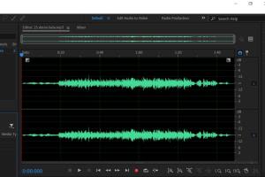 Portfolio for Audio Podcast Cleaning Like Professional
