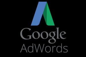 Portfolio for Google Adwords & Google Analytics