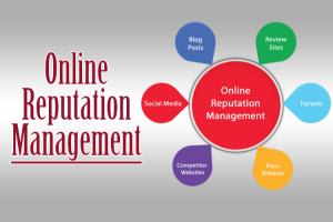 Portfolio for Online Reputation Management