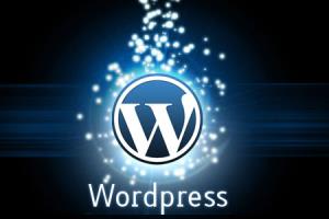 Portfolio for Wordpress Theme Customization