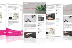 Portfolio for Wordpress LMS website Learndash LMS Web