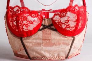 Portfolio for Lingerie designer