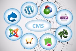 Portfolio for CMS Based Web Development Services