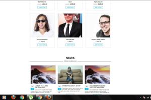 Portfolio for I will install WordPress themes