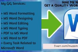 Portfolio for Professional Microsoft Word Task