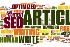 Portfolio for SEO/BLOG Article Writing