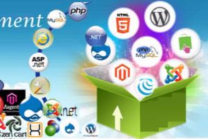 Portfolio for Experienced Software & Web Developers