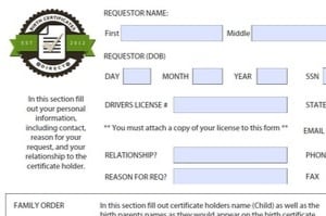 Portfolio for Pdf Fillable form and Pdf editing