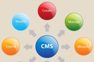 Portfolio for Content Management System