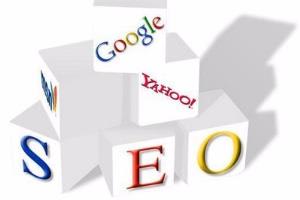 Portfolio for Search Engine Optimization(SEO) Services