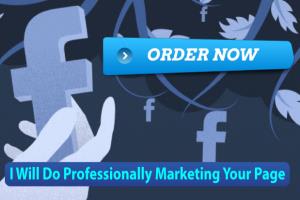 Portfolio for I Will Do Professionally Marketing Your