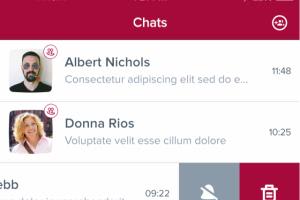 Portfolio for Mobile Application