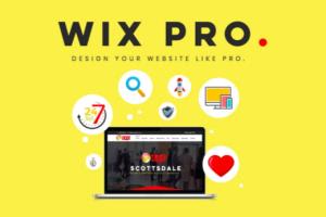 Portfolio for I Will Create WIX Website Design