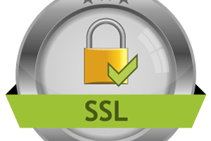 Portfolio for Get OV SSL Certificate for 2 years.