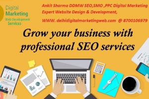 Portfolio for Digital Marketing Services: SEO, PPC, So