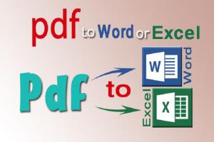 Portfolio for PDF Conversation to Word / Excel Files