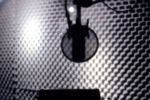 Portfolio for Brazilian portuguese voice over